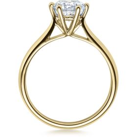 18007-1ct_300_st_rgb_sh_gg