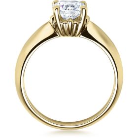 18009-1ct_300_st_rgb_sh_gg