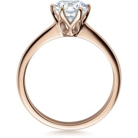 18016-1ct_300_st_rgb_sh_rg