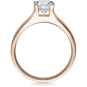 18020-1ct_300_st_rgb_sh_rg